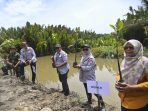 Penanaman Mangrove serentak Se- Indonesia. Sebanyak 5000 mangrove ditanam sepanjang 300 Hektar Pesisir Luwu Utara