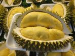 Kontes Buah Durian Warnai Event Pesona Luwu Utara, Masamba Affair Festival 2023. Berikut Link Pendaftarannya