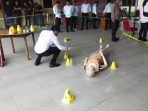 Olah TKP Kasus Pembunuhan Digelar di Mapolres Bone, Kapolres hingga Kanit Reskrim Hadir