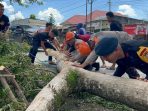 Respon Laporan Warga, SAR Brimob Bone Tebang Pohon yang Bahayakan Pengguna Jalan