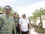 Bernilai Seni Tinggi, Bupati Bone Harap Kontes Bonsai Nasional Jadi Agenda Tahunan