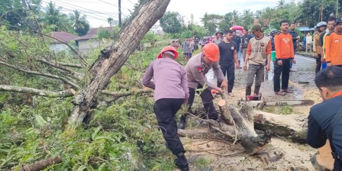 Bersama Warga, Tim SAR Brimob Bone Bersihkan Pohon Tumbang di Barebbo