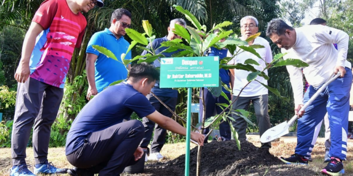 PT Vale Kembangkan Sukun Untuk Merehabilitasi Lahan Tambang