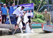 Wujudkan Ketahanan Pangan, 1 Juta Benih Ikan Ditebar di Danau Tempe