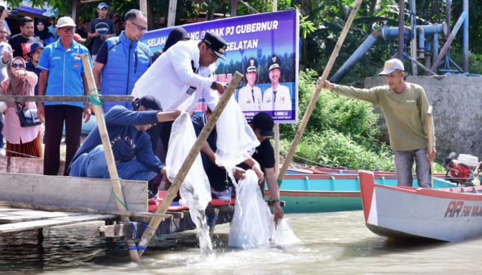 Wujudkan Ketahanan Pangan, 1 Juta Benih Ikan Ditebar di Danau Tempe