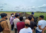 Ribuan Hektar Lahan Rawa di Bone Utara Dioptimalisasi Jadi Lahan Produktif