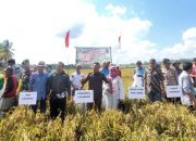 Semarak Hari Jadi Bone ke-694, Kadis Asman Sulaiman Gelar Lomba Jambore Petani