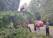 Tim SAR Brimob Bone Gercep Evakuasi Pohon Tumbang di Jalan Poros Bone Makassar