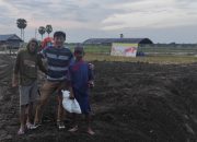 Besok, Kadis Asman Sulaiman Launching Tanam Perdana 5 Ribu Hektar Lahan Rawa