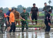 Dandim 1407 Bone Kawal Program Optimasi 5000 Lahan Rawa di Bone