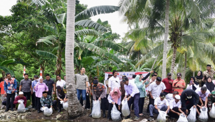 Bone Dapat Bantuan 400 Ribu Bibit Ikan Nila dan Emas