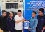 Usung Perbaikan Keuangan Bone, Anggota Banggar Senayan Daftar Calon Bupati di Perindo dan PAN