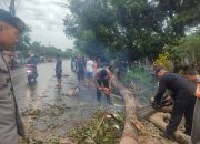 Tim SAR Brimob Bone Evakuasi Pohon Tumbang di Poros Bone Makassar