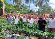 Jelang Idul Adha, A Asman Sulaiman Panen Cabai Besar di Tokaseng Bone