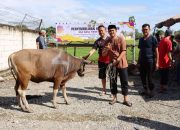 Polres Bone Sembelih 34 Ekor Sapi, Meneguhkan Nilai Kepatutan dan Semangat Pengabdian