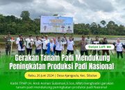 Kadis A Asman Sulaiman Tanam Padi di Sibulue Bone, Ajak Petani Tingkatkan Produksi 