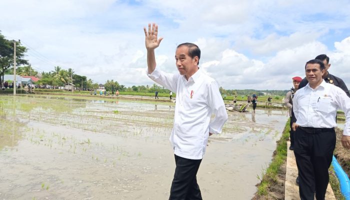 Tanya Jawab dengan Petani, Presiden Jokowi : Semangat Petani Bone