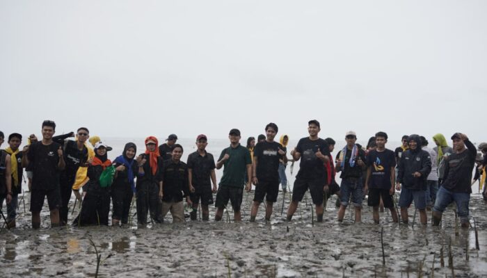 Semarakkan Hari Mangrove Internasional, HIPMI Bone Gelar Penanaman 1000 Pohon