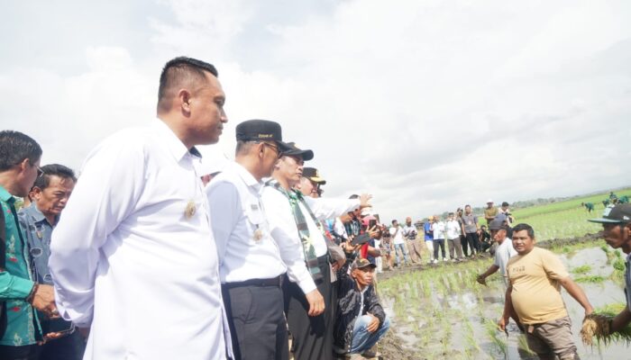 Mentan Amran Bawa Bantuan Senilai 151 M, Pj Bupati : Terima Kasih dari Masyarakat Bone