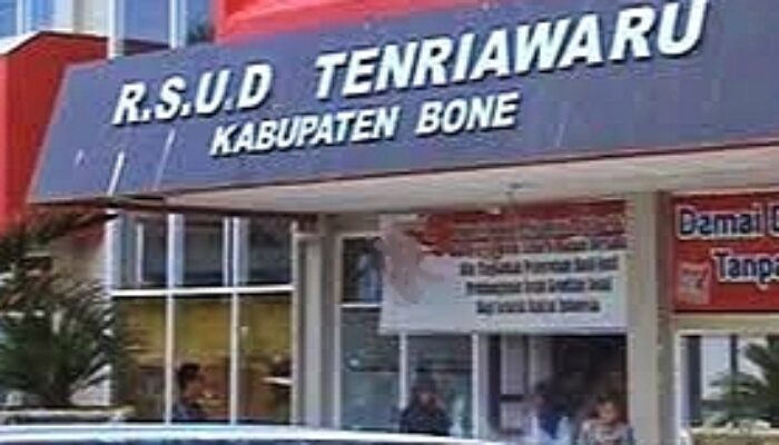 Dokter IGD RSUD Tenriawaru Bone Dianiaya Keluarga Pasien Korban Laka