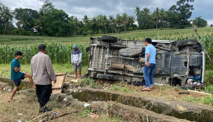 Polisi Ungkap Kronologis Kawanan Pencuri Anjing Diringkus di Bengo Bone