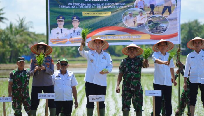 Bupati Pangkep Tanam Serentak Bersama Presiden RI, Target Lahan 14 Ribu Hektar 