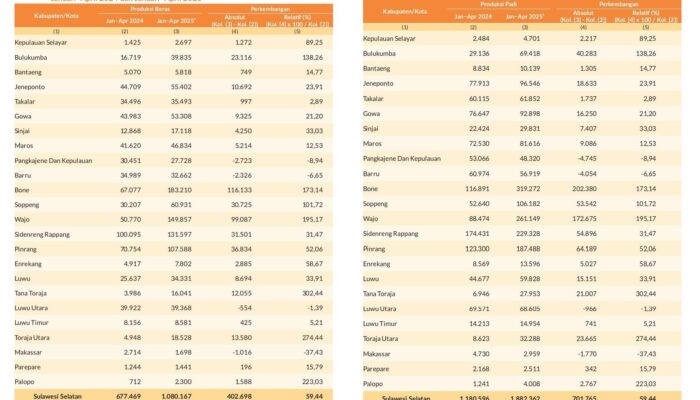 Data BPS 2025, Bone Catatkan Produksi Gabah dan Beras Tertinggi di Sulsel
