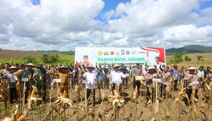 Mentan RI dan Kapolri Panen Raya di Bone, Bupati : Berkah Untuk Bone