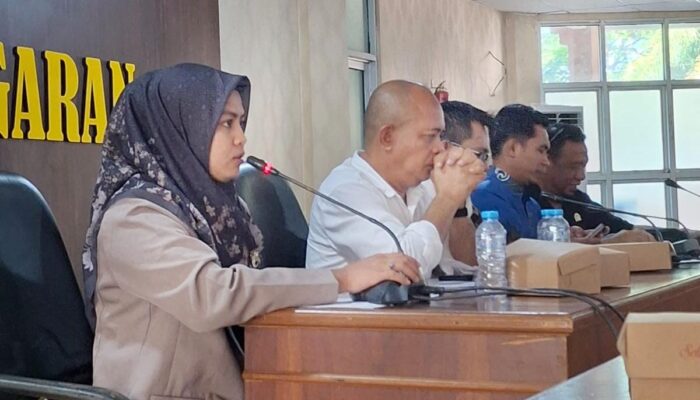 Anggota DPRD Bone Sulfiana Dorong Dinkes Hadirkan Alkes di Puskesmas