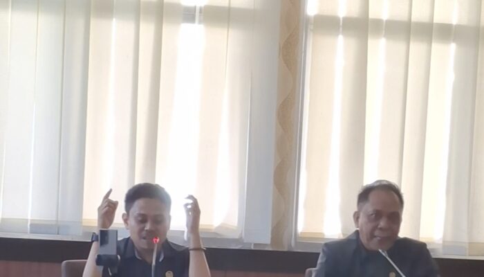 Sambil Memohon, Legislator Farel Minta Pemerintah Perhatikan Jembatan Tellu Limpoe