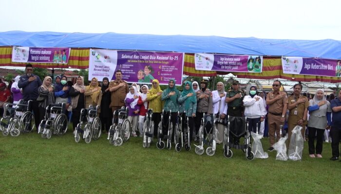HLUN ke-29, Pemkab Pangkep Gelar Pemkes dan Serahkan Bantuan 