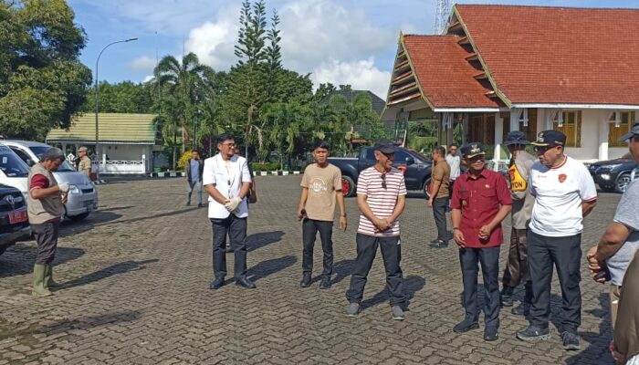 Momen Hari Raya Idul Adha di Bone, 3111 Sapi Qurban, 53 Partisipasi OPD