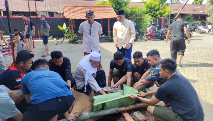 Idul Adha: Sat Brimob Polda Sulsel Kurban 169 Sapi, 3 Kambing