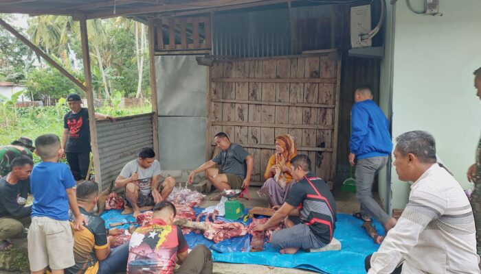 Kurban 10 Sapi dan 2 Kambing, Dandim 1407 Bone Ajak Tingkatkan Kepedulian Terhadap Sesama 