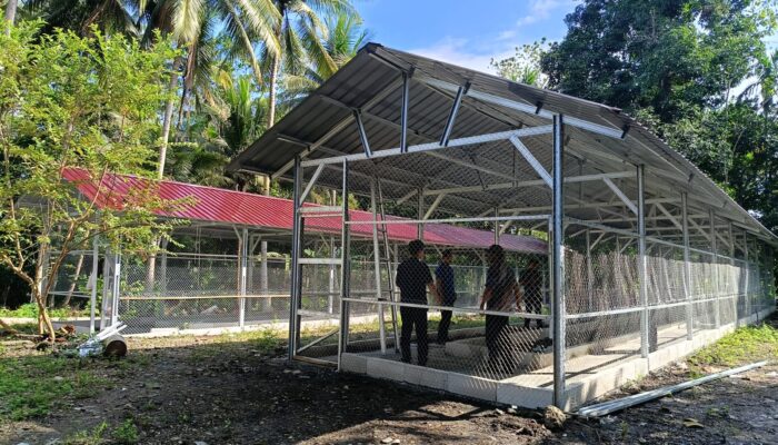 Bone Keciprat Bantuan Kandang Merah Putih CSR Charoen Pokphand Indonesia