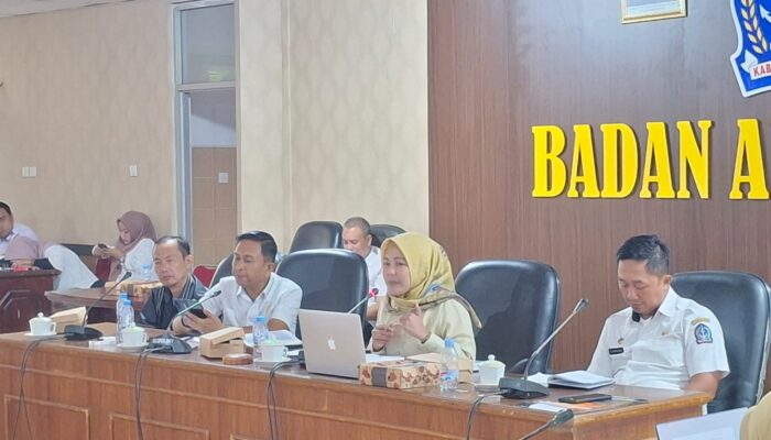 Bahas Ranperda Perampingan OPD, Bapemperda DPRD Minta Tak Ada yang Dirugikan