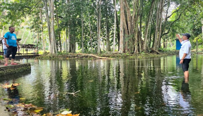 MILE MATA, Permata Alam dari Kaki Gunung Bulu Mico Bone