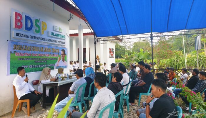 Sekolah Lapang Hadir Lagi, Tambah Pendapatan Petani
