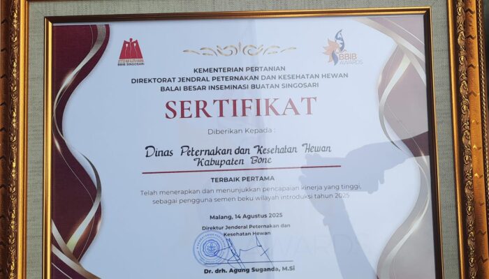 Raih Terbaik Pertama BBIB Award 2025, Peternakan Bone Diakui Nasional