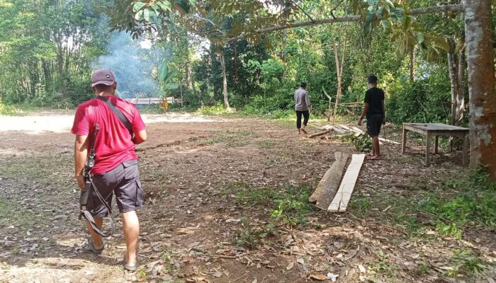 Polisi Bongkar Arena Sabung Ayam di Raja Bone