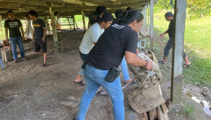 Polres Bone Bongkar Arena Judi Sabung Ayam, Mulai di Kota Watampone Hingga Pedalaman Tellu Limpoe