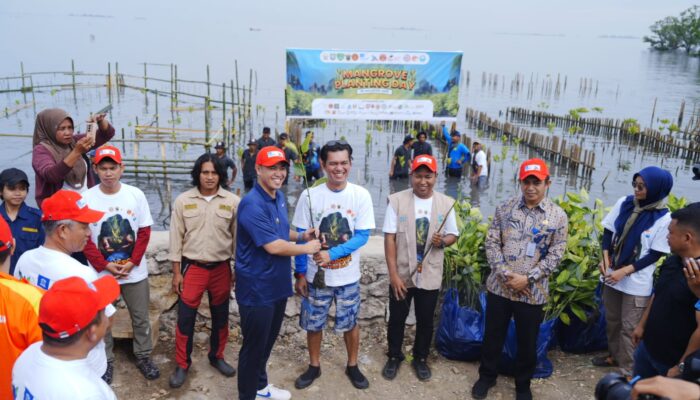 Mangrove Planting Day di Pangkep, Kolaborasi Lintas Pihak Jaga Ekosistem Pesisir