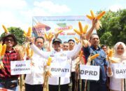 Luncurkan Benih Jagung Hibrida DK79C KUAT, Bupati Bone : Tingkatkan Kesejahteraan Petani