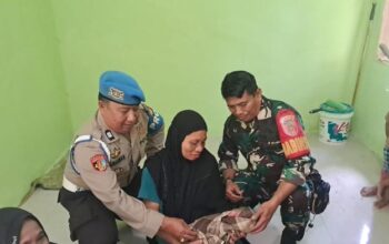 Hendak Cek Kandang Sapi, Warga Dikejutkan Tangisan Bayi