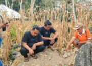 Pihak Keluarga Lapor Pembongkaran Kuburan Leluhur ke Polres Bone, Timsus Turun Tangan