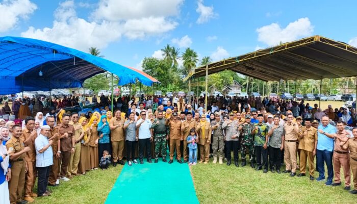 Bupati Bone Hadiri Syukuran Panen di Patimpeng, Masyarakat Potong 6 Sapi