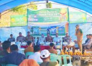 Camat Ulaweng: Panen Perdana Jagung Raja, Komitmen Dukung Swasembada Pangan