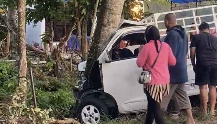 Tabrak Pohon di Cina, Jumardi Tewas di TKP, Penumpang Kritis