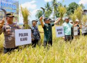 Bone Terbaik Mini Distribution Centre, Stok Beras-Gula Tertinggi, Bupati Ungkap Kunci Kendalikan Inflasi di Sulsel