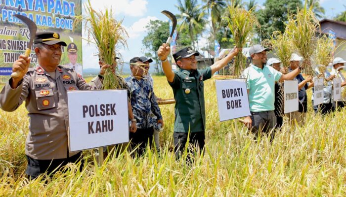 Bone Terbaik Mini Distribution Centre, Stok Beras-Gula Tertinggi, Bupati Ungkap Kunci Kendalikan Inflasi di Sulsel